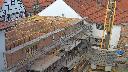 cam1_2023-06-01_17-00.jpg