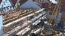cam1_2023-06-03_09-05.jpg