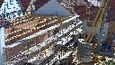cam1_2023-06-03_09-45.jpg