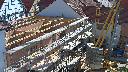 cam1_2023-06-03_09-50.jpg