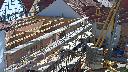 cam1_2023-06-03_09-55.jpg