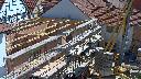 cam1_2023-06-03_10-55.jpg
