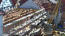 cam1_2023-06-04_09-50.jpg
