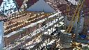 cam1_2023-06-04_09-55.jpg