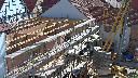 cam1_2023-06-04_10-00.jpg