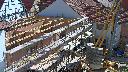 cam1_2023-06-04_10-15.jpg