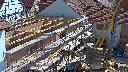 cam1_2023-06-04_10-30.jpg