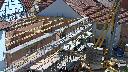 cam1_2023-06-04_10-50.jpg
