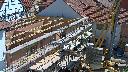 cam1_2023-06-04_11-05.jpg