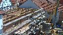 cam1_2023-06-04_11-40.jpg