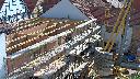 cam1_2023-06-05_09-41.jpg