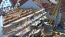 cam1_2023-06-05_09-46.jpg