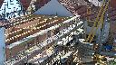 cam1_2023-06-05_09-52.jpg