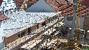 cam1_2023-06-11_10-45.jpg