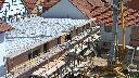 cam1_2023-06-11_11-35.jpg