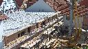 cam1_2023-06-12_10-25.jpg