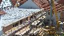 cam1_2023-06-12_10-50.jpg