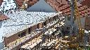 cam1_2023-06-12_11-05.jpg