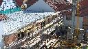 cam1_2023-06-13_09-30.jpg