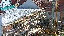 cam1_2023-06-13_09-50.jpg