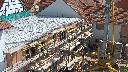 cam1_2023-06-13_10-40.jpg