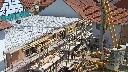 cam1_2023-06-13_12-20.jpg