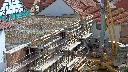 cam1_2023-06-21_10-15.jpg