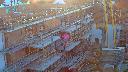 cam1_2023-07-07_05-50.jpg