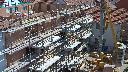 cam1_2023-07-07_11-15.jpg