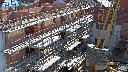 cam1_2023-07-12_09-05.jpg