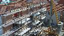 cam1_2023-07-12_11-15.jpg