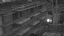 cam1_2023-07-23_05-00.jpg