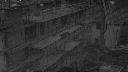 cam1_2023-07-28_05-00.jpg