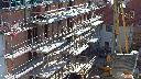 cam1_2023-08-11_09-20.jpg