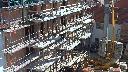 cam1_2023-08-11_09-50.jpg