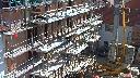 cam1_2023-08-11_10-00.jpg