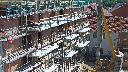 cam1_2023-08-11_11-00.jpg