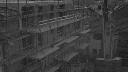 cam1_2023-08-28_05-50.jpg
