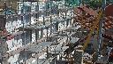 cam1_2023-09-14_11-20.jpg