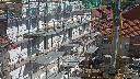 cam1_2023-09-15_11-57.jpg