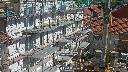 cam1_2023-09-15_12-17.jpg