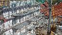cam1_2023-09-16_13-55.jpg