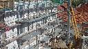 cam1_2023-09-17_13-20.jpg