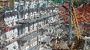 cam1_2023-09-17_13-25.jpg