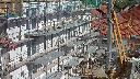 cam1_2023-09-17_13-30.jpg