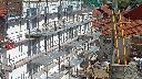 cam1_2023-09-24_12-52.jpg