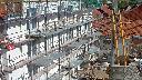 cam1_2023-09-24_13-17.jpg