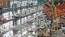 cam1_2023-09-24_13-52.jpg
