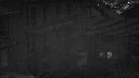 cam1_2023-11-28_05-55.jpg