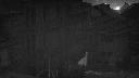cam1_2024-01-15_07-10.jpg